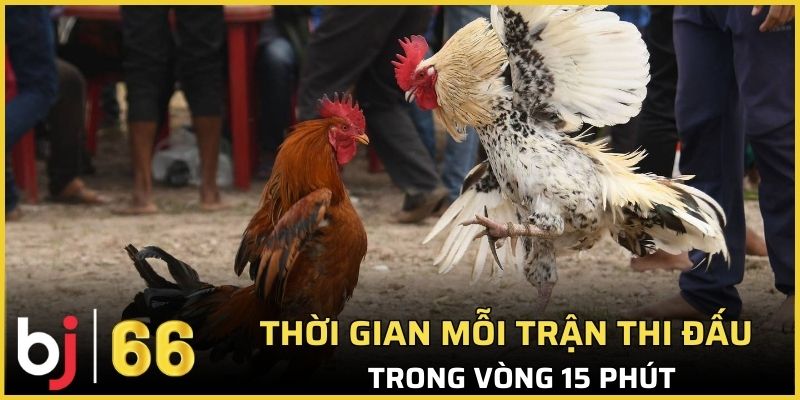 Thời gian mỗi trận thi đấu diễn ra chỉ trong vòng 15 phút